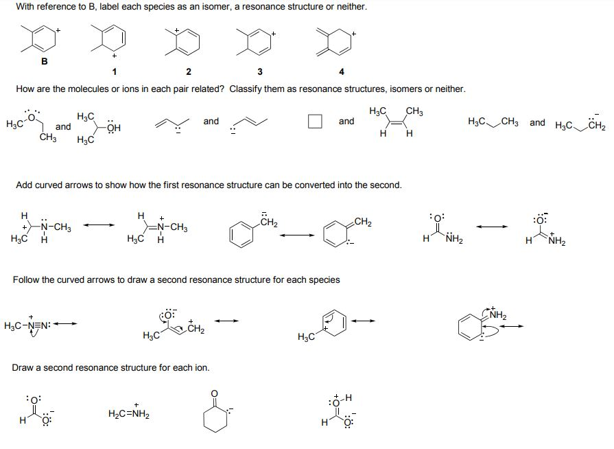 Solved With Reference To B, Label Each Species As An Isomer, 