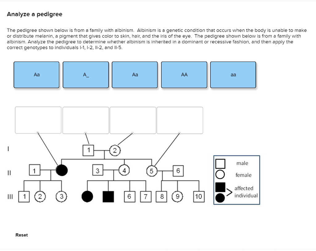 Solved Analyze a pedigree The pedigree shown below is from a | Chegg.com