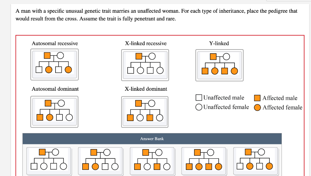 solved-a-man-with-a-specific-unusual-genetic-trait-marries-chegg