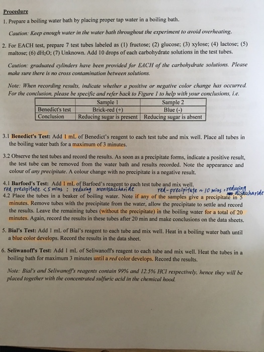 Chemistry Of Carbohydrates Worksheet Answers - Worksheet List