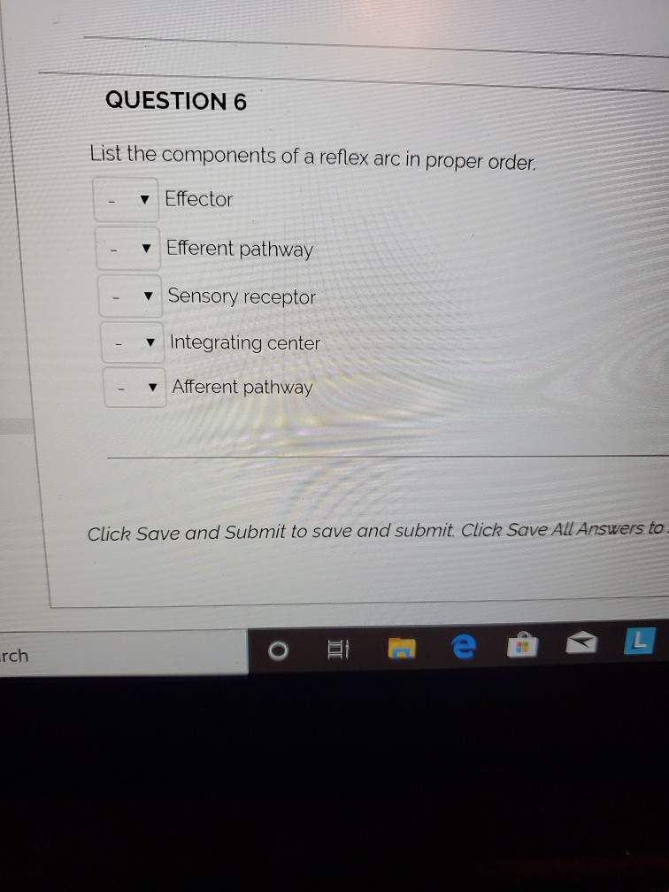 Solved QUESTION 6 List the components of a reflex arc in | Chegg.com