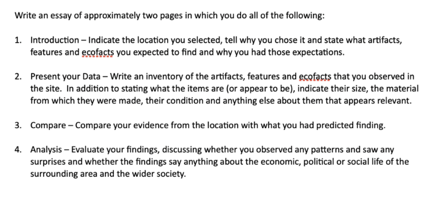 Write an essay of approximately two pages in which | Chegg.com