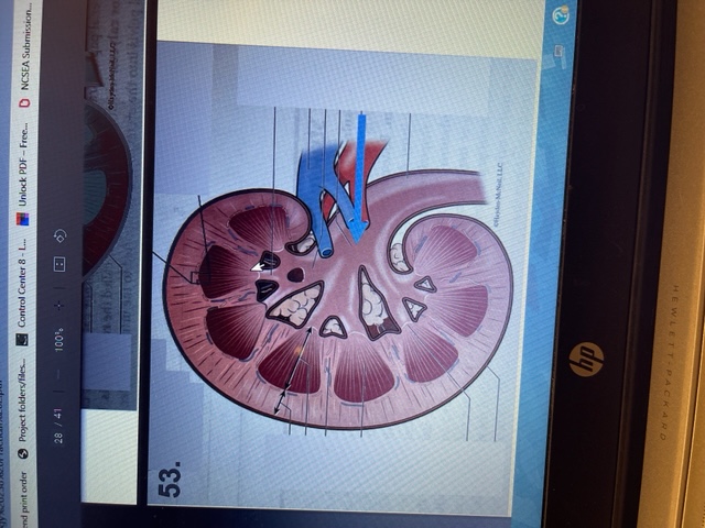 Solved hi i need help please can you name the part where chegg