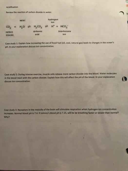 Solved Acidification Review the reaction of carbon dioxide | Chegg.com