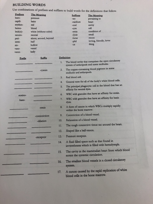 Solved BUILDING WORDS Use combinations of prefixes and | Chegg.com