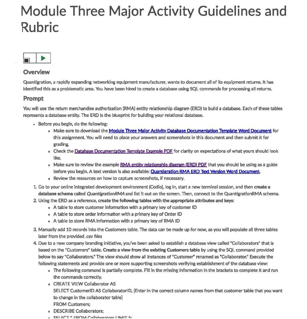 module three assignment guidelines and rubric