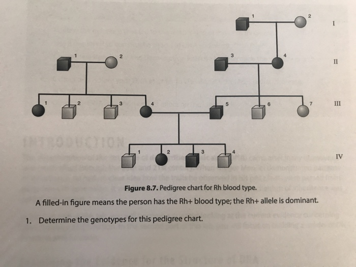 How To Make A Pedigree Chart For Blood Type Best Picture Of Chart