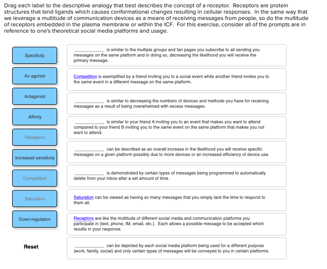 solved-drag-each-label-to-the-descriptive-analogy-that-best-chegg