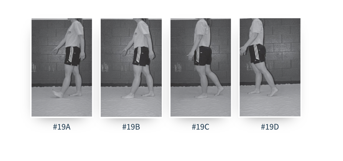Solved 6. Using picture set \#19 as one continuous motion, | Chegg.com