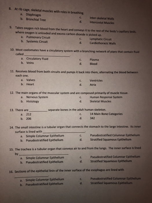 Solved Multiple Choice: Please circle the correct answer for | Chegg.com