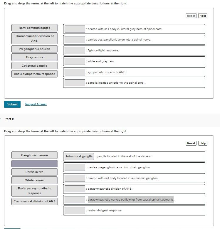 solved-drag-and-drop-the-terms-at-the-left-to-match-the-chegg