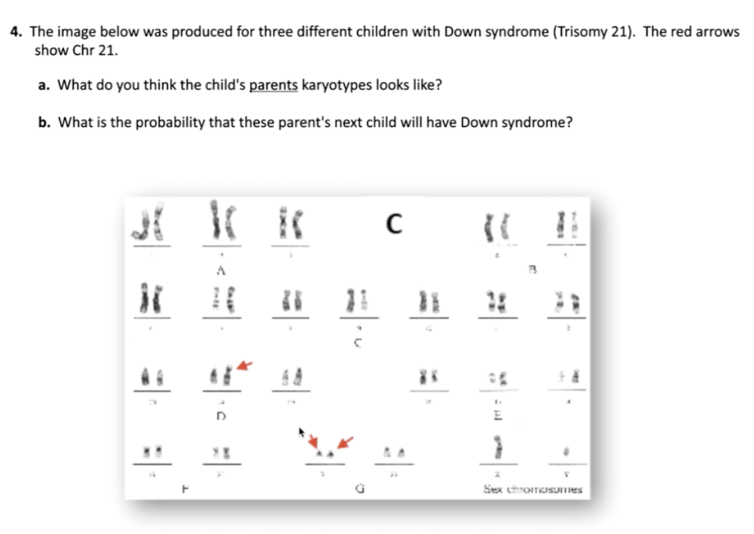 Solved 2. The image below was produced for three different | Chegg.com