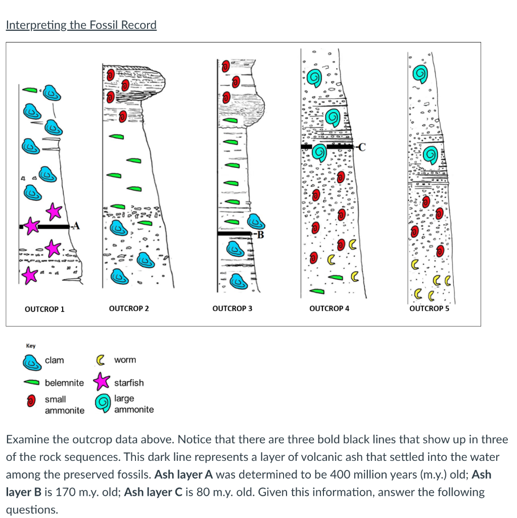 Key fossil-bearing outcrops that have previously suffered from