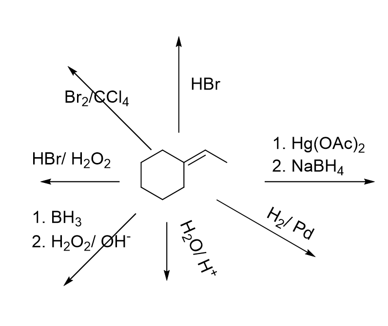 Solved HBr Bro/CCIA HBr/ H2O2 1. Hg(OAC)2 2. NaBH4 H2 Pd 1. | Chegg.com