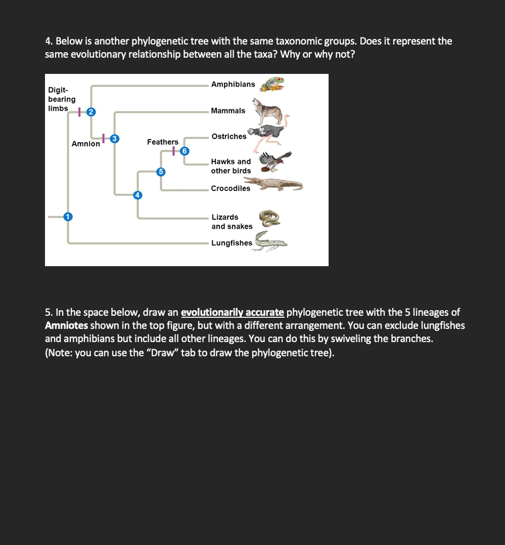 Solved The tree shown below is for tetrapods and their | Chegg.com