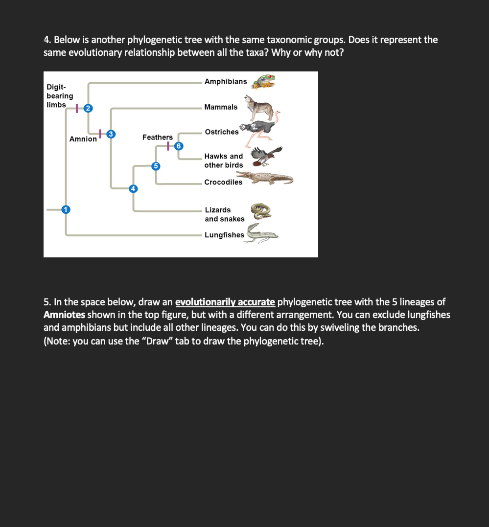 Solved The Tree Shown Below Is For Tetrapods And Their | Chegg.com