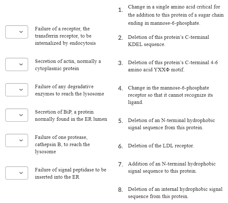 Solved You know that the amino acid sequence of a protein | Chegg.com
