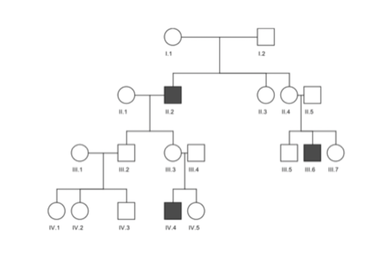 Solved Which pattern of inheritance is shown in the pedigree | Chegg.com