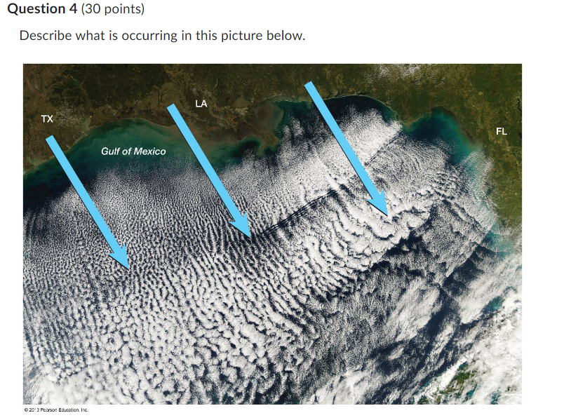 Solved Describe what is occurring in this picture below. | Chegg.com