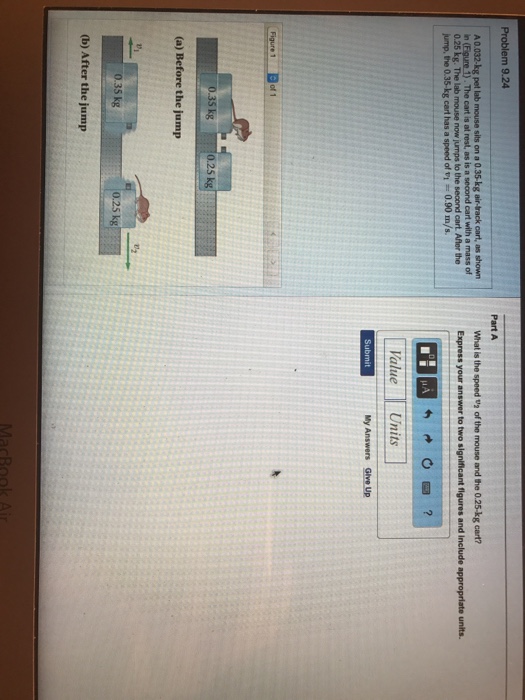 15 Best Photos The Pet Lab / Cluejay Dog At Home Stool Test Level 3 For