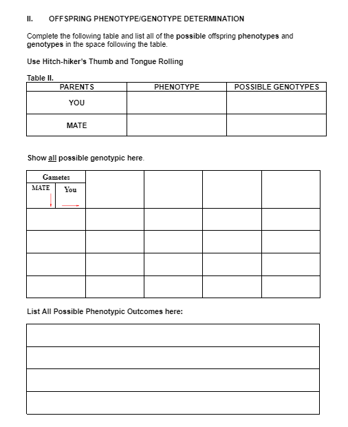 II. OFFSPRING PHENOTYPE/GENOTYPE DETERMINATION | Chegg.com