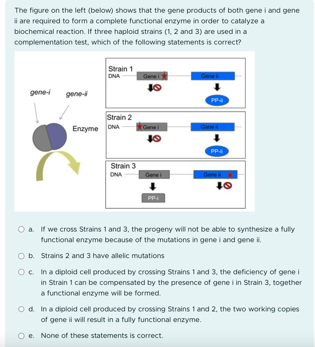 Solved The Figure On The Left (below) Shows That The Gene | Chegg.com