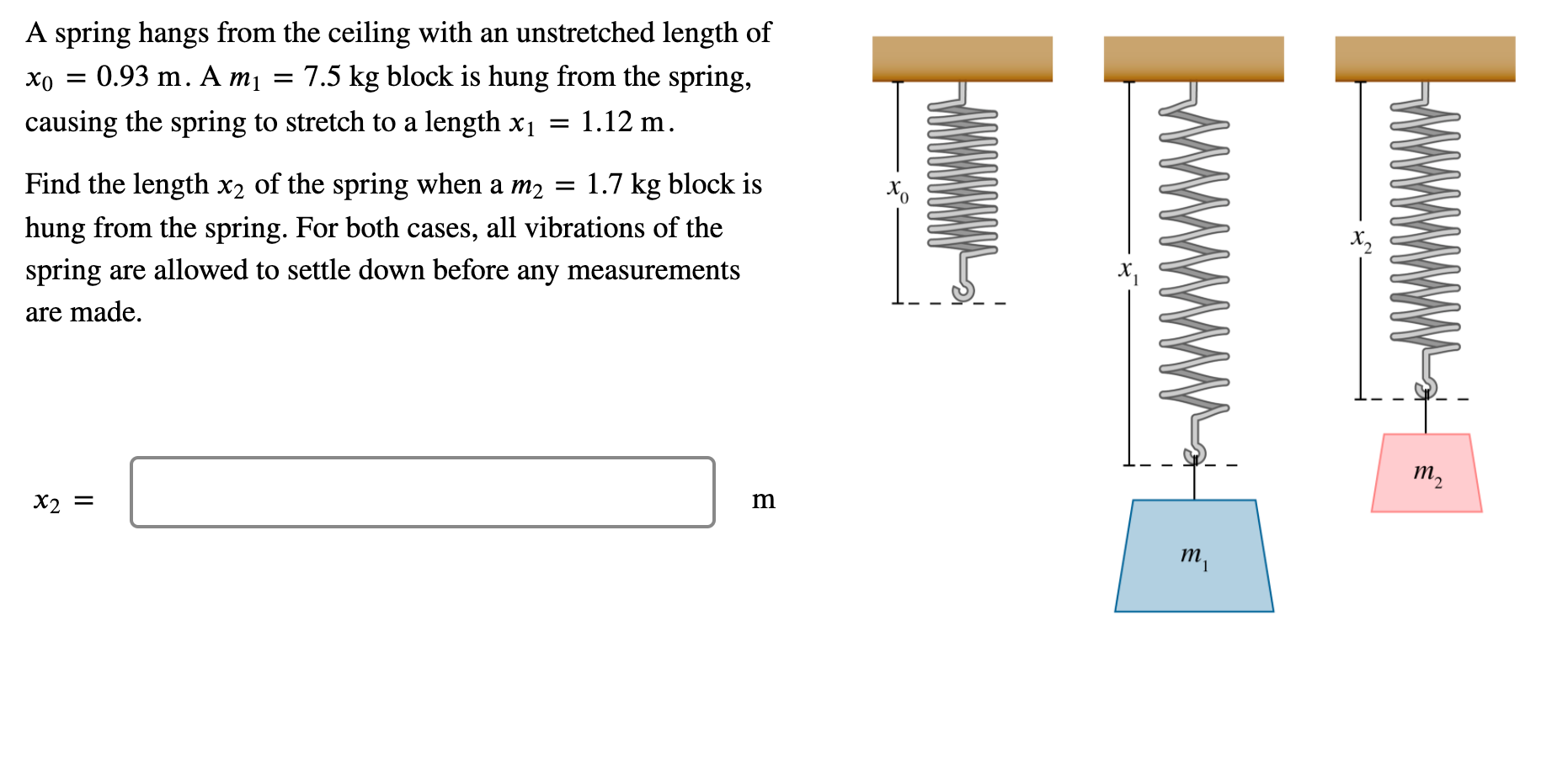 Solved A bungee cord loosely hangs from a bridge. Its length