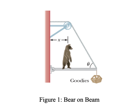 Solved A hungry bear weighing 600N walks out on a beam in | Chegg.com