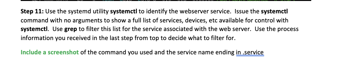 Solved Step 3: Figure out the options for the ss command so | Chegg.com