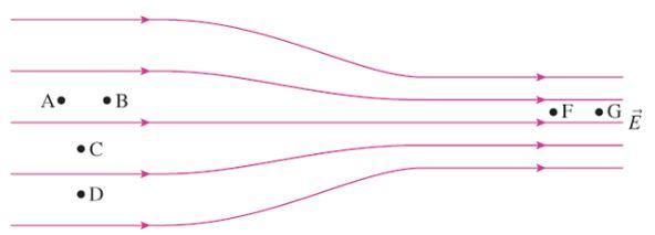 Solved The figure below shows electric field lines in a | Chegg.com