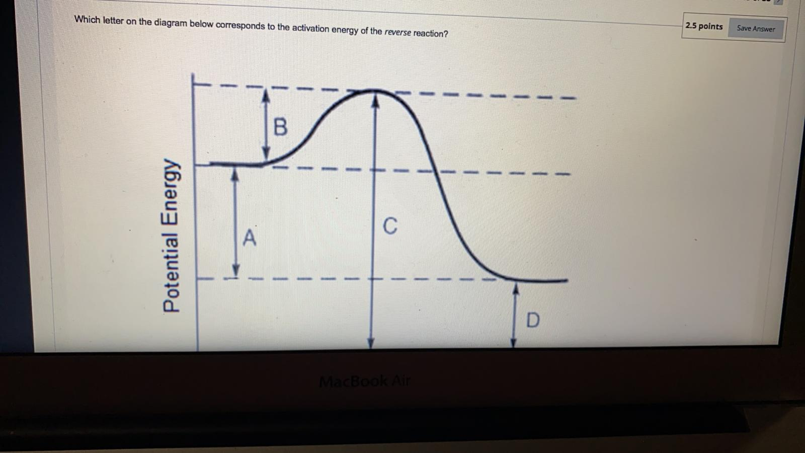 Solved Which letter on the diagram below corresponds to the | Chegg.com