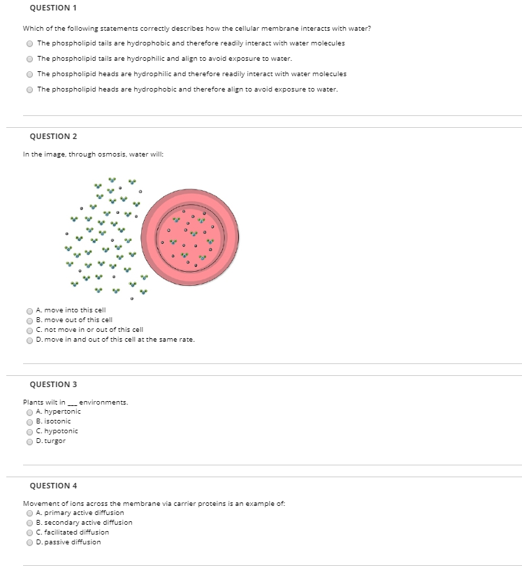 Solved Question 1 Which Of The Following Statements | Chegg.com Solved Question 1 Which Of The Following Statements | Chegg.com