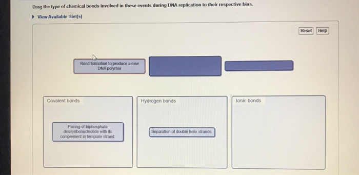 Solved lace the correct word in the missing position to | Chegg.com