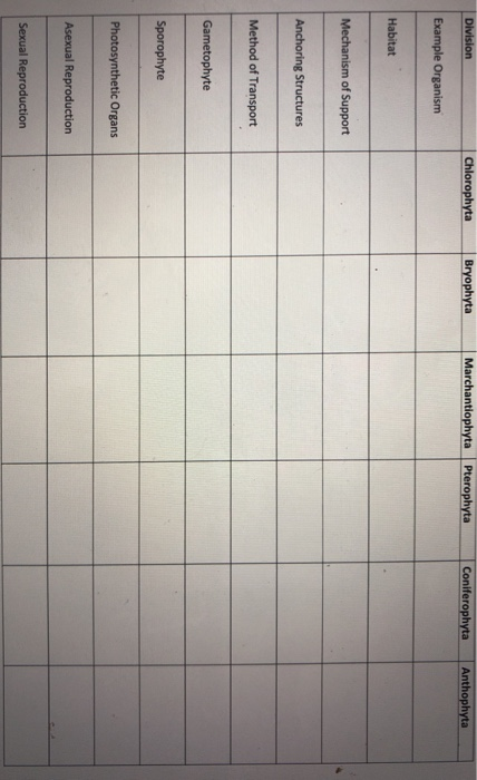 Solved Division Chlorophyta Bryophyta Marchantiophyta | Chegg.com