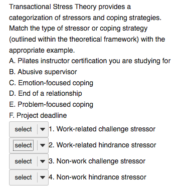 drugs coping transactional theory