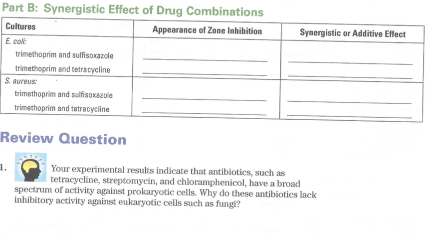 Solved Synergistic or Additive Effect Part B: Synergistic | Chegg.com