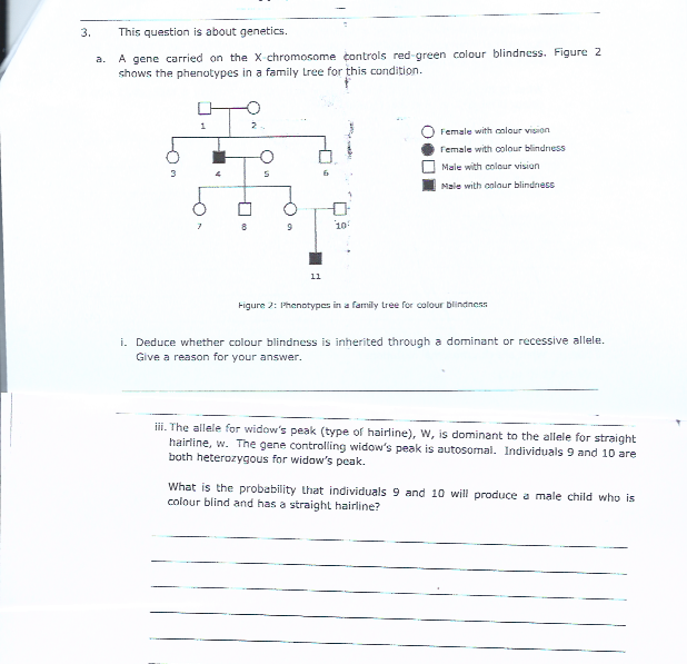 Solved 3. This question is about genetics. A gene carried on | Chegg.com
