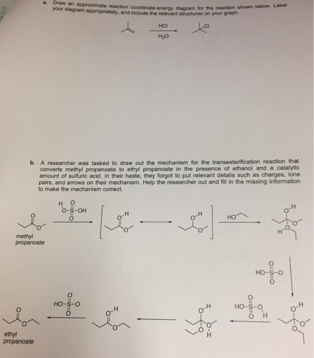 Solved your diagram appropriately, and include the relevant | Chegg.com