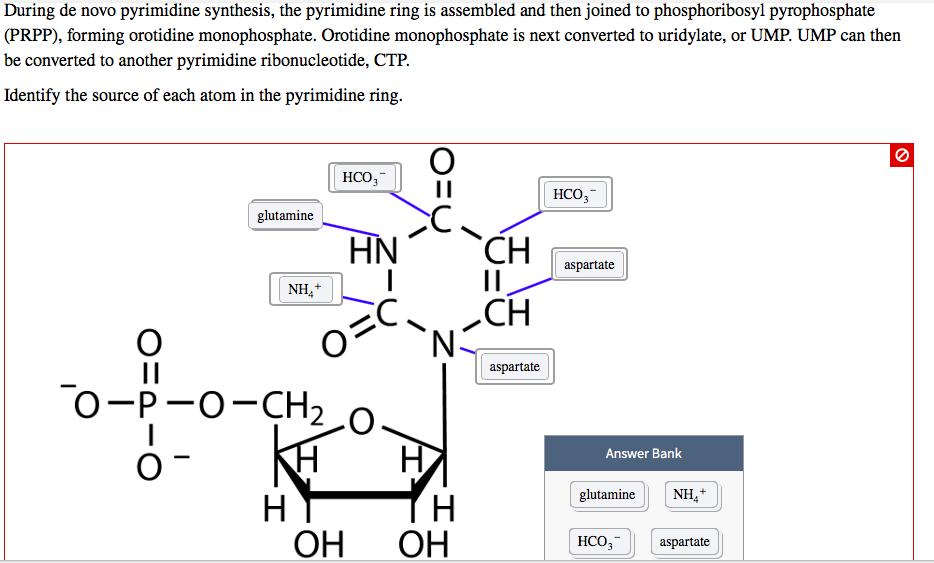 During de novo pyrimidine synthesis, the pyrimidine | Chegg.com