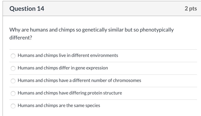 Solved Question 14 2 pts Why are humans and chimps so | Chegg.com