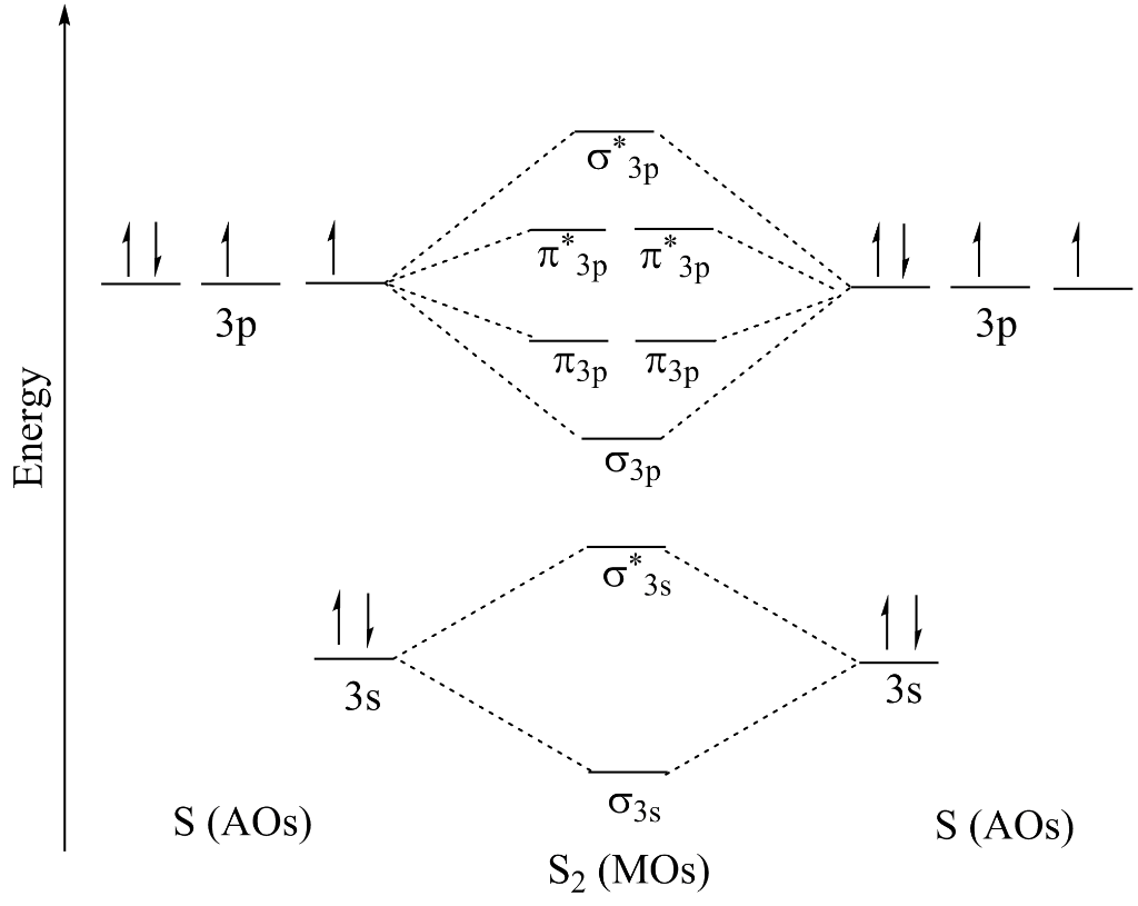 Solved Question 1: Regarding the allylic carbanion (C3H5−), | Chegg.com