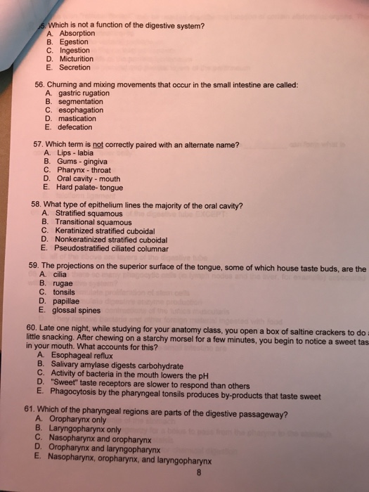 solved-5-which-is-not-a-function-of-the-digestive-system-a-chegg