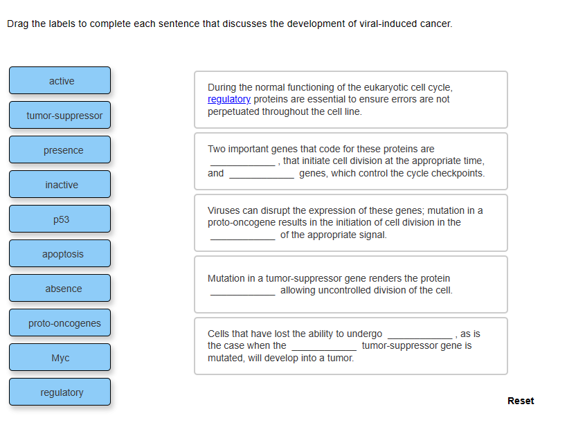 Solved Drag the labels to complete each sentence that Biology Diagrams