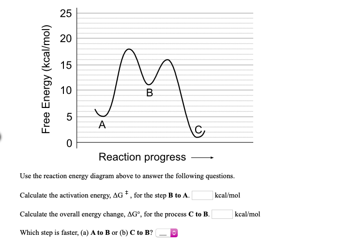 Solved Free Energy (kcal/mol) Reaction Progress- Use The | Chegg.com