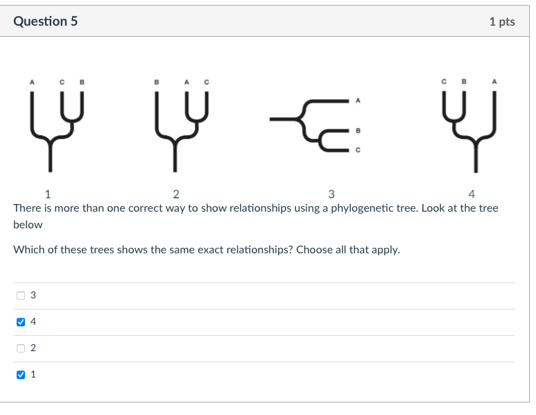 Solved Question 5 1 pts Ų (Ų Ć Ų C 1 2 3 4 There is more