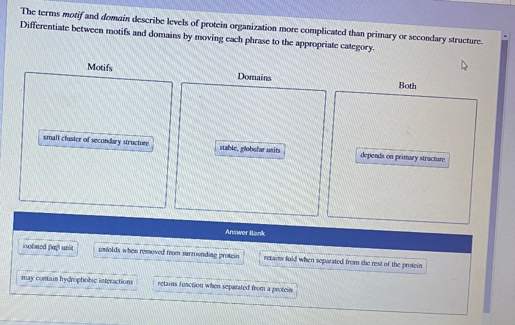 Solved The terms motif and domain describe levels of protein | Chegg.com