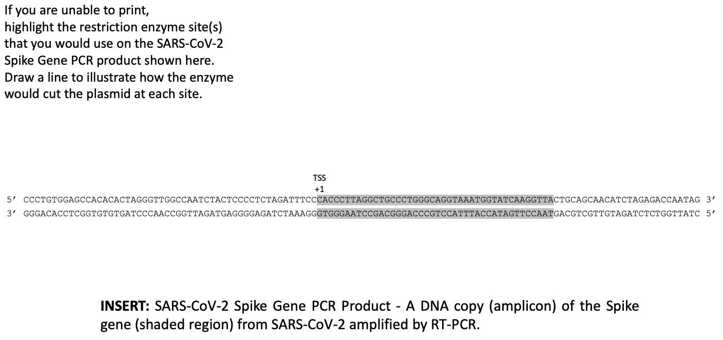 Solved The discovery of restriction enzymes, proteins that | Chegg.com