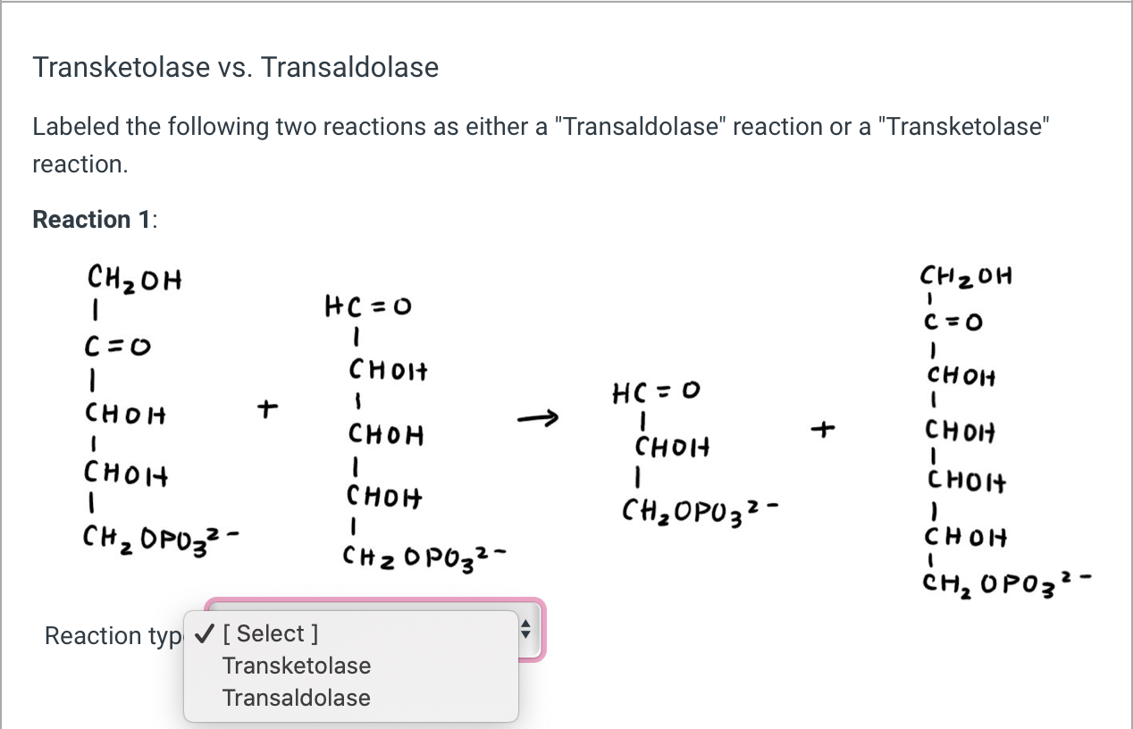 Solved Transketolase vs. Transaldolase Labeled the following