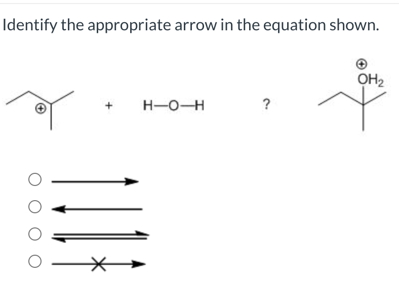 Solved Identify the appropriate arrow in the equation shown.