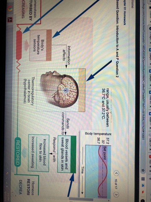Artbased question introduction to A and P